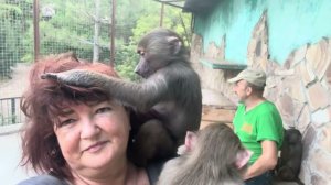 Наконец-то Степа с Тосей успокоились и стали делать нам массаж и прически)