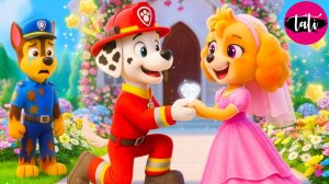 Щенячий патруль и Маршалл. Залипательное видео. Мультфильм для детей и малышей. Анимация 16