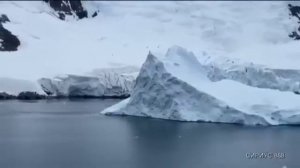 К кому прилетают Президенты в Антарктиду ???