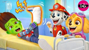 Щенячий патруль и Маршалл. Залипательное видео. Мультфильм для детей и малышей. Анимация 8
