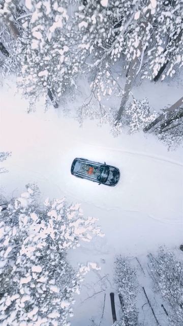 EXEED | TXL смотреть онлайн