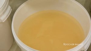 Видеообзор брожение сахарной браги на сухих дрожжах. ?