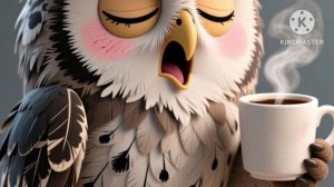 preview 2 BFDI 2763 V22