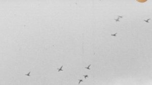 Телеочерк Евгения Вершинина