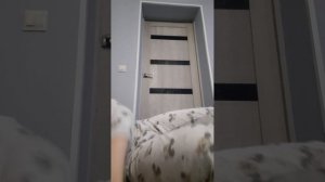 3 упражнения на пресс