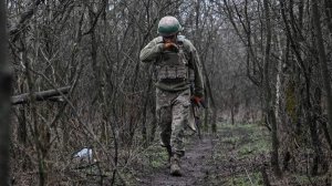 Стало известно о массовом дезертирстве в 155-й бригаде ВСУ