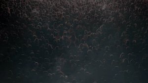 15 - Voices of the Shadows