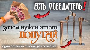 ПОПУГАЙ - Необходимость или Блажь ? | Новый розыгрыш  на ЮТУБЕ и итоги старого !