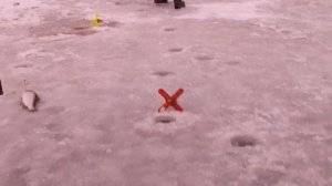 Основной водоём. Форель на резину.