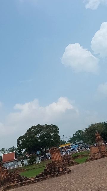 Где учат побеждать — через отказ от победы? смотреть онлайн