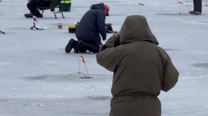 Поимки на поставушки.