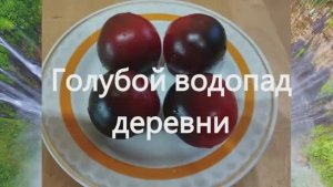 СКИДКИ! НАБОР семян ТОМАТОВ № 1.  т. 89229284031