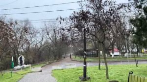 ОДЕССА 25 ДЕКАБРЯ 2025. ЗЕЛЕНСКИЙ ДОЛЖЕН СИДЕТЬ! НОВЫЙ ОПРОС! ЗАЛУЖНЫЙ ПЛАВАЕТ В ДОМИНИКАНЕ!