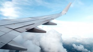 ФАС проконтролирует цены на новогодние авиабилеты