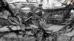 Снимает телеоператор Евгений Вершинин