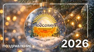 Поздравление с Новым Годом от команды Фонда "ПОДСОЛНУХ"