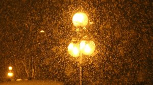 ШУТКА :   А снег идет, а снег идет       ПОДПИШИСЬ