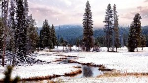 25 декабря - День чудес. Особый гороскоп.