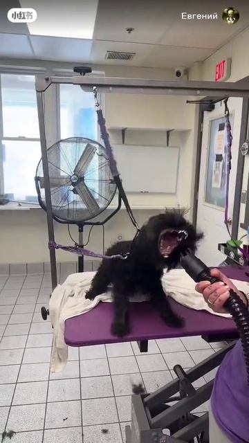 Клип на песню Эминема смотреть онлайн