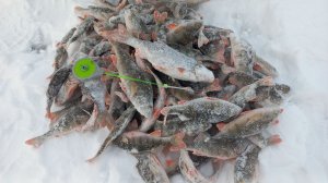 Лодочная рулит!!!