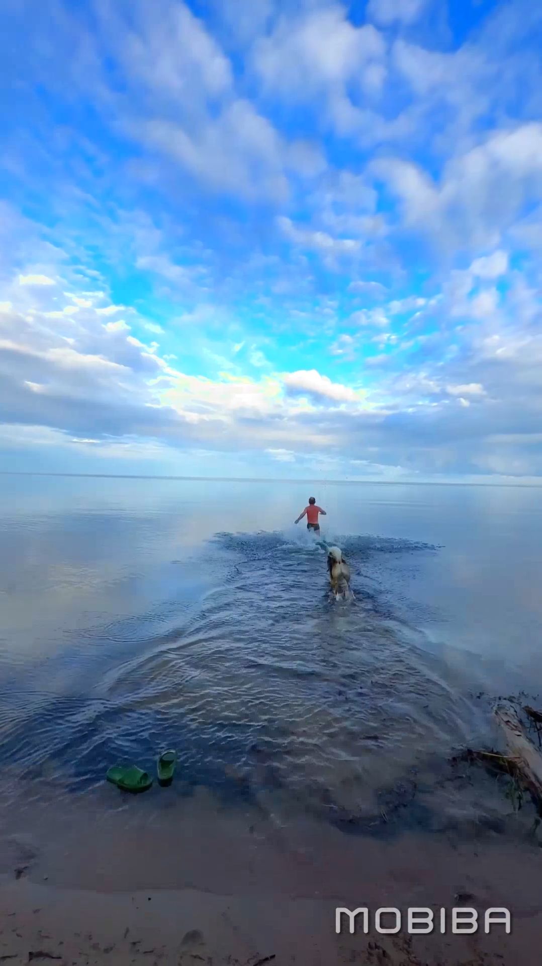 Ваша баня везде с вами! смотреть онлайн