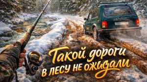 Зимняя рыбалка 2025-2026.Рыбалка. Ужасающая поездка через лес.