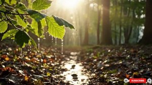 Жизнь 5 миллионов лет назад. Жестокая борьба за выживание