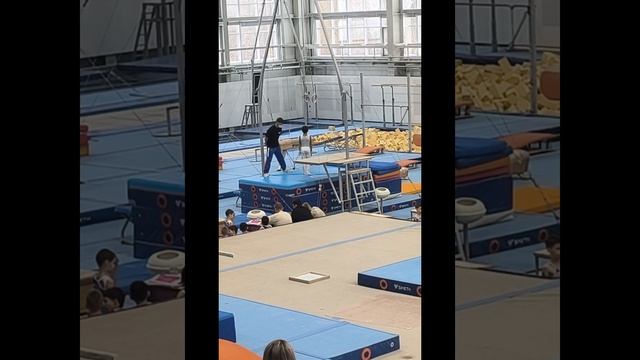 Спортивная гимнастика ЦПСГ Новосибирск 2 юношеский разряд Ефремов Андрей, Кирилл. смотреть онлайн