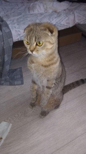 И нам купили телевизор! 😉😃👍