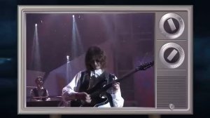 Божья коровка - Гранитный камушек