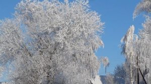 Деревенский пейзаж