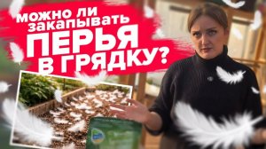 ПЕРЬЯ ИЗ ПОДУШЕК: это удобрение?