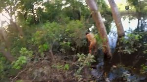 Голые и напуганные 9 сезон 1 серия (реалити-шоу, 2018)