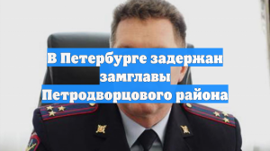 В Петербурге задержан замглавы Петродворцового района