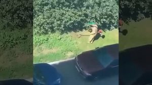 Как здорово наблюдать за такими людьми. Газонокосильщик с умом закрывает припаркованные машины, ч...