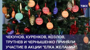 Чекунов, Куренков, Козлов, Трутнев и Чернышенко приняли участие в акции "Елка желаний"