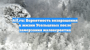 Aif.ru: Вероятность возвращения к жизни Усольцевых после замерзания маловероятна