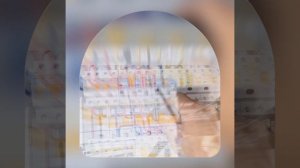 1000043477.mp4 (Собака наблюдает за лайфхаками при строительстве дома А-фрейм)