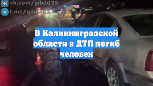 В Калининградской области в ДТП погиб человек