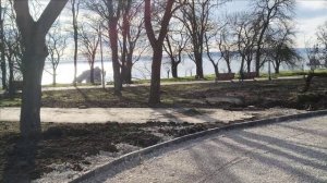 Керчь. Приморский парк  сегодня 25.12.25