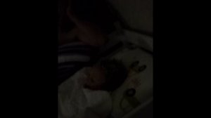 Тимофей и ночные песенки