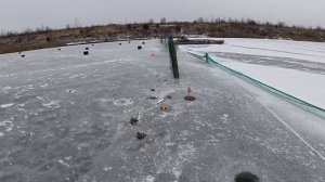 Чем отличается ловля форели на поставушки и жерлицы.Открытие первого льда.