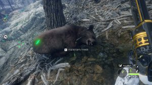 theHunter- Call of the Wild™ - 2025-12-25 11-52-45