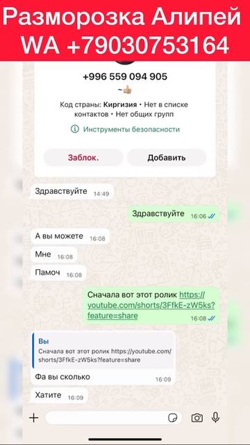 Про разморозку Алипей, про Пушкина про СНГ и про русский язык смотреть онлайн