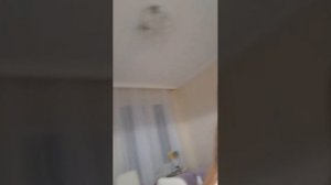 тренеровка