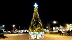 Новогодние ёлки Днепропетровска