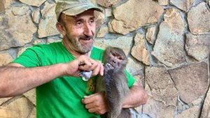 Мы пришли к Люсе и папа Владик пытается побольше накормить любимицу)))