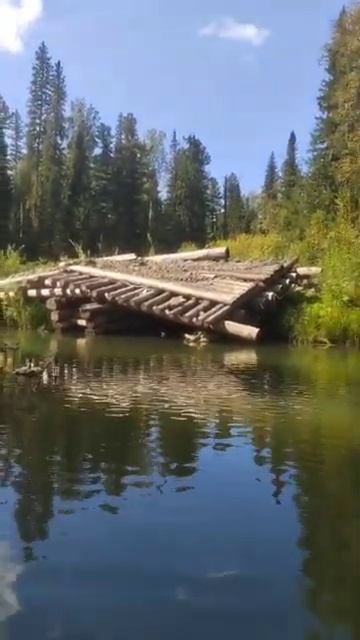 Сплав Тайга по реке Рудиковка Снесеный мост Рыбалка Охота Сибирь 2025 смотреть онлайн