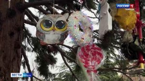 ВЕСТИ КРЫМ: выпуск 25.12.2025 11:30