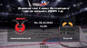ХК "Заневский Молот" 09 - ХК "Мезон" 09 | 28.12.2025